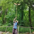 Activités aux journées européennes du patrimoine en Aveyron - Espace archéologique de Montrozier