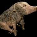 Cochons : l’amour vache ! 