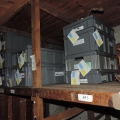 photo 5 Etiquetage des collections avant chantier (6)