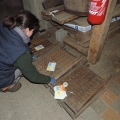 photo 7 Etiquetage des collections avant chantier (4)